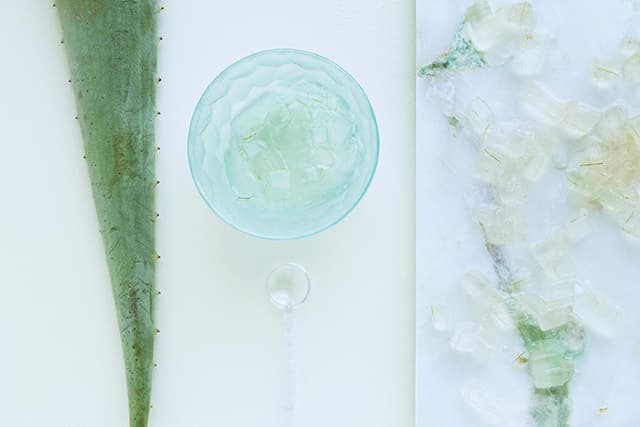 aloe vera gel in a bowl